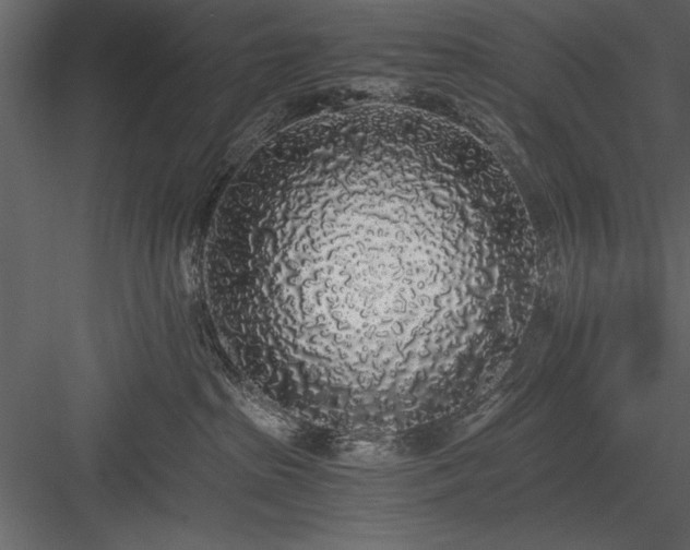 X0000084000285200702232146