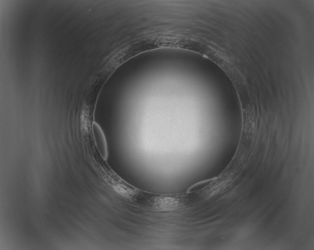 X0000084000287200702232146