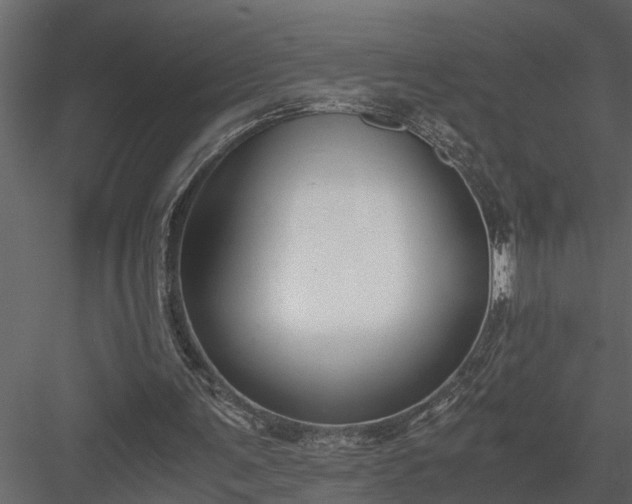 X0000084000291200702232145