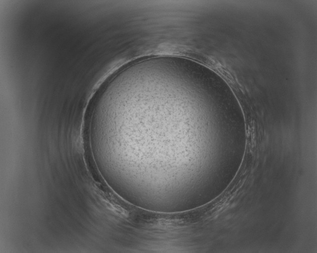 X0000084000292200702232145