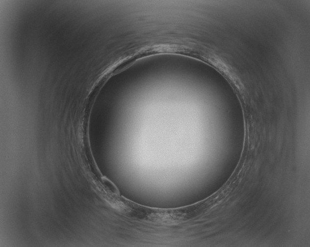 X0000084000297200702232145