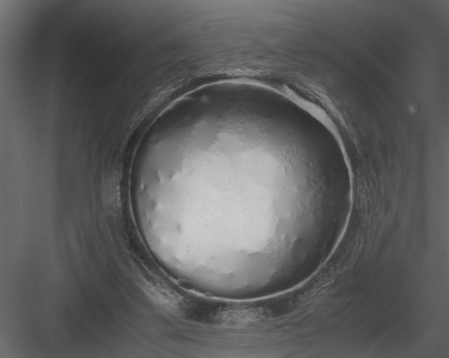 X0000084000299200702232145
