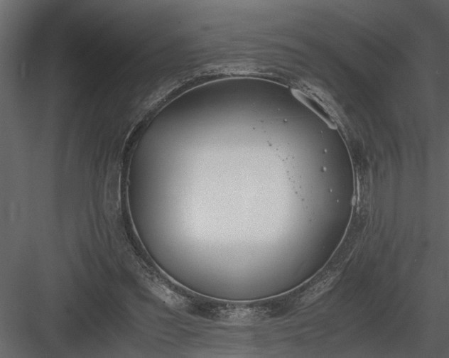 X0000084000301200702232145