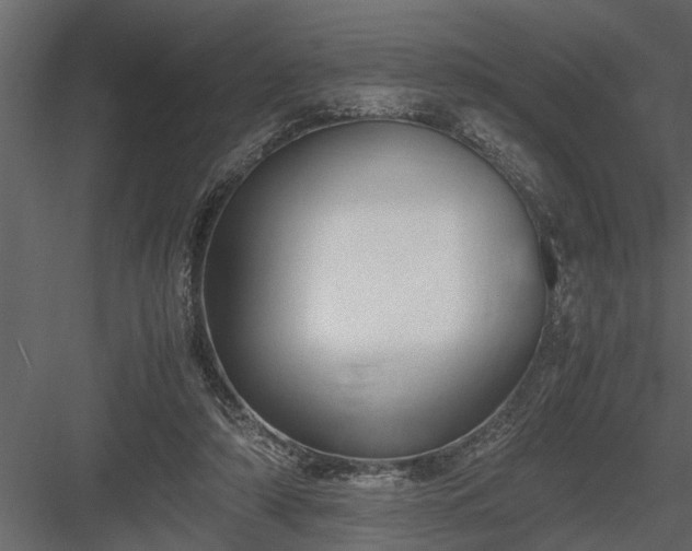 X0000084000306200702232145