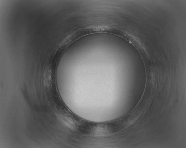 X0000084000308200702232145