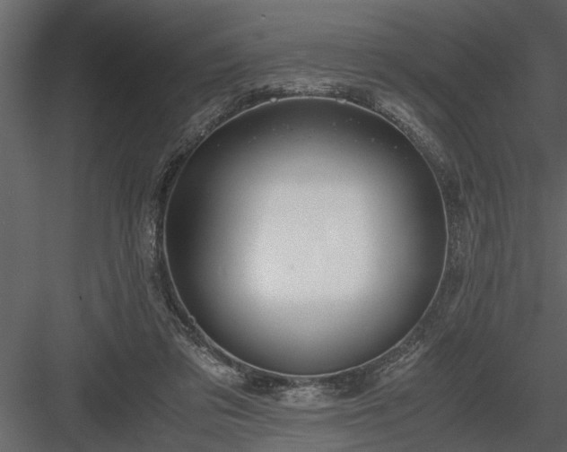 X0000084000309200702232145
