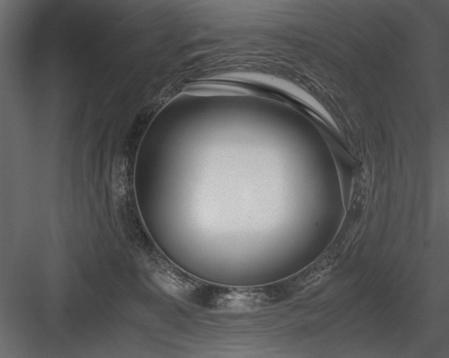 X0000084000323200702232144