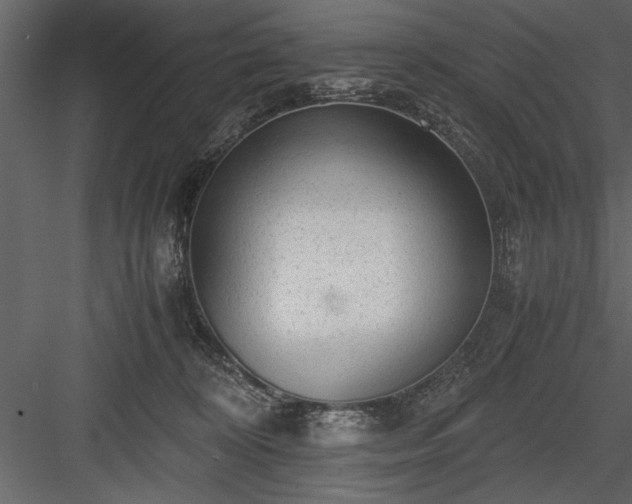 X0000084000324200702232144
