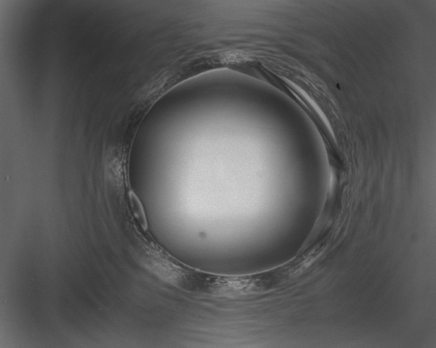 X0000084000329200702232144
