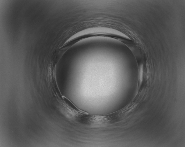 X0000084000333200702232144