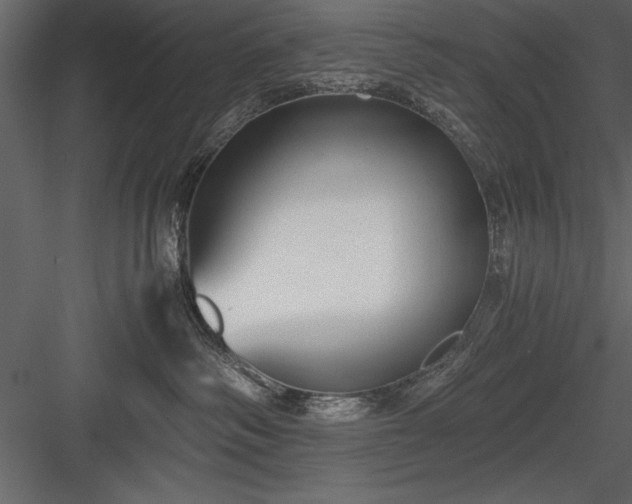 X0000084000334200702232144