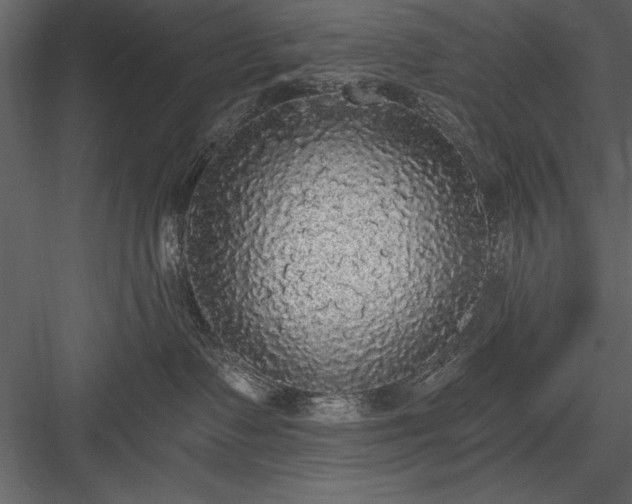 X0000084000335200702232144