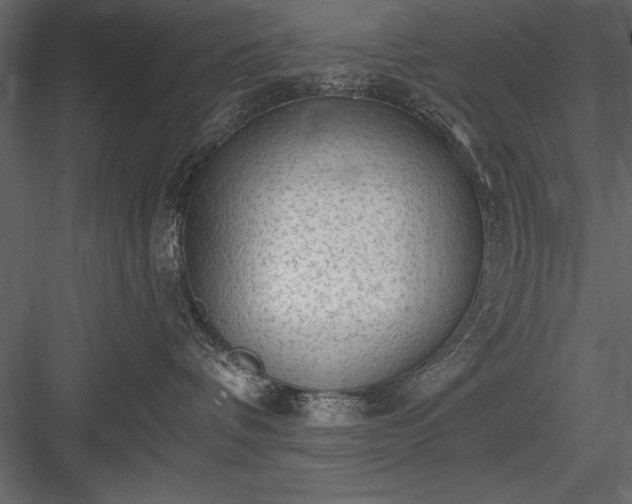 X0000084000336200702232144