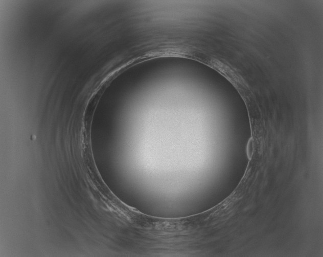 X0000084000338200702232143