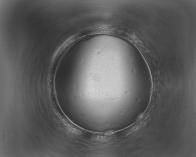 X0000084000341200702232143