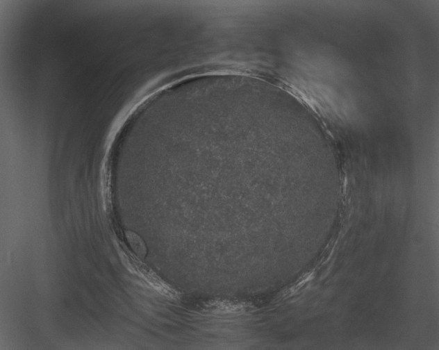 X0000084000343200702232143