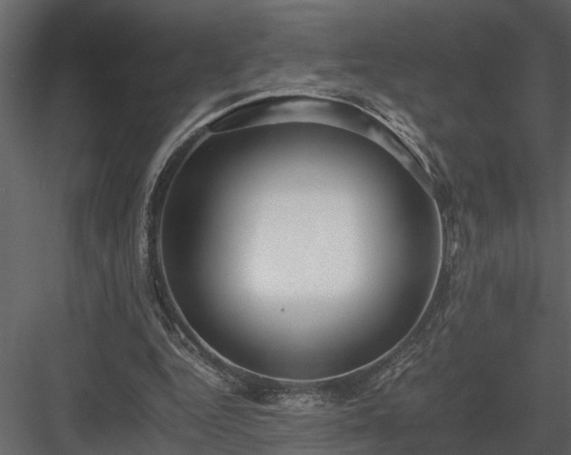 X0000084000344200702232143