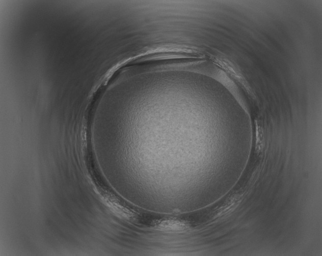 X0000084000348200702232143
