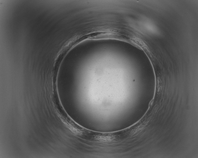 X0000084000349200702232143