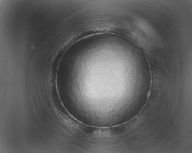 X0000084000354200702232144