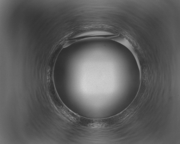 X0000084000356200702232144