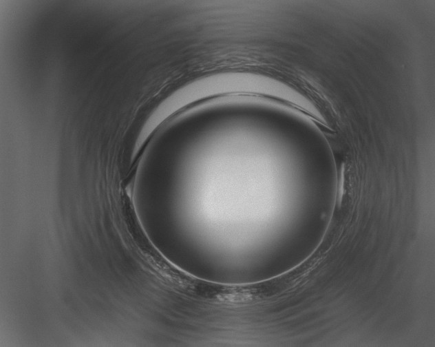 X0000084000362200702232144