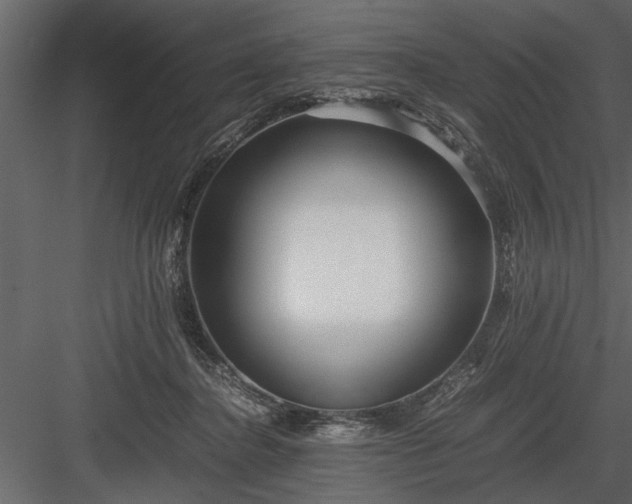 X0000084000364200702232144