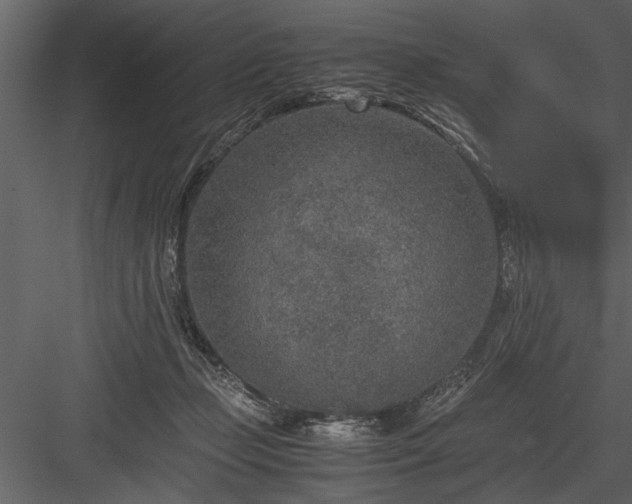 X0000084000365200702232144