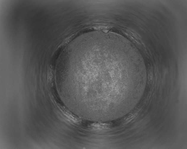 X0000084000367200702232144