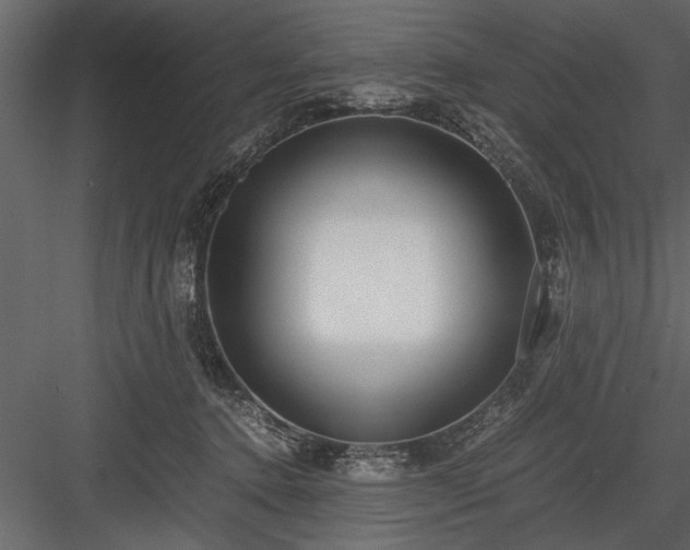 X0000084000368200702232144