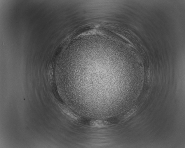 X0000084000372200702232144