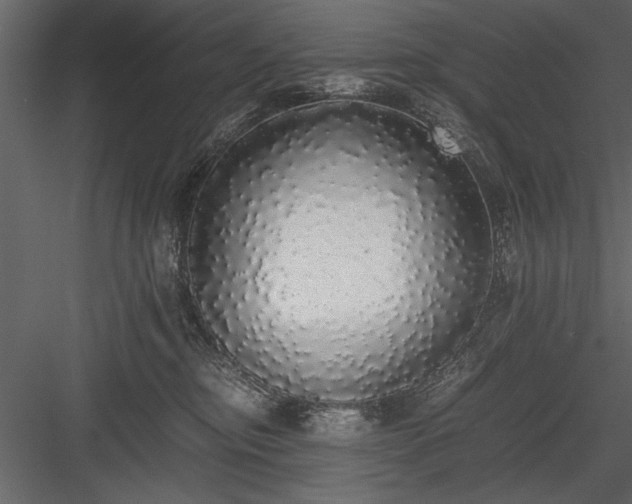 X0000084000374200702232144