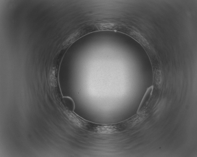 X0000084000378200702232144