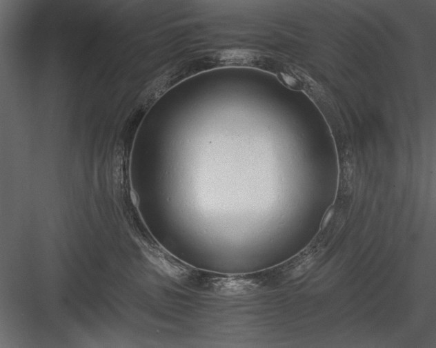 X0000084000379200702232144