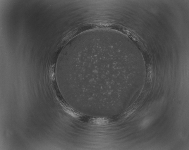 X0000084000383200702232144