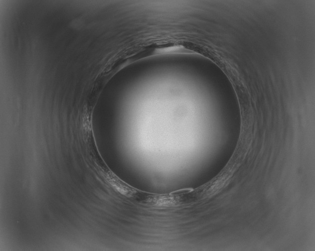 X0000084000384200702232144
