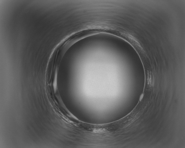 X0000084000388200702232143
