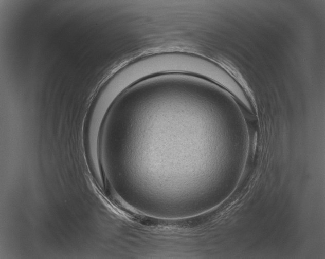 X0000084000389200702232143