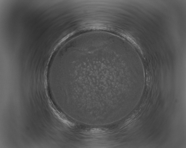 X0000084000390200702232143