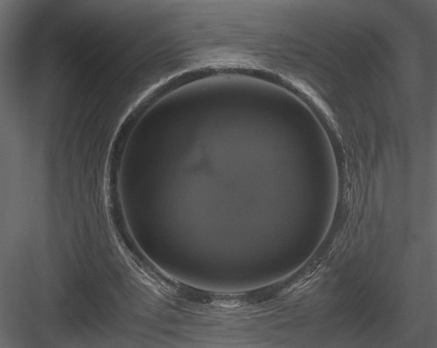 X0000084000391200702232143