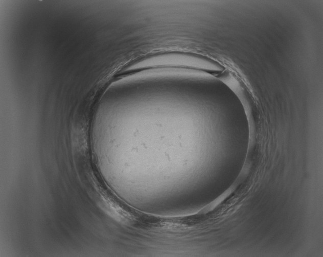 X0000084000393200702232143