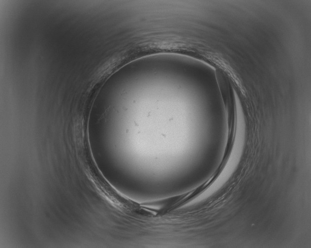 X0000084000397200702232143