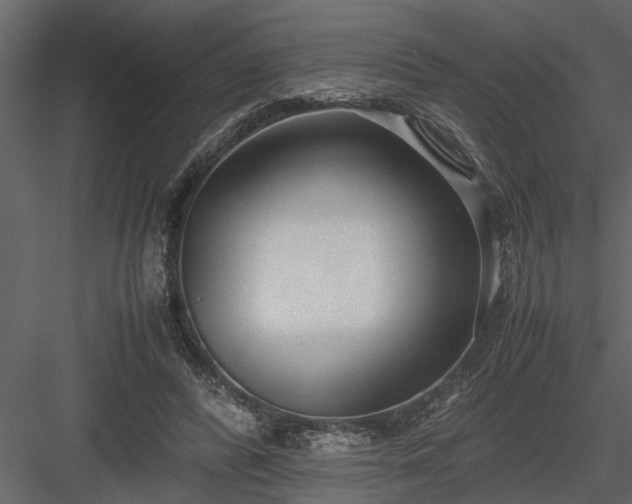 X0000084000400200702232143