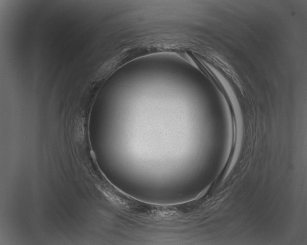 X0000084000401200702232143