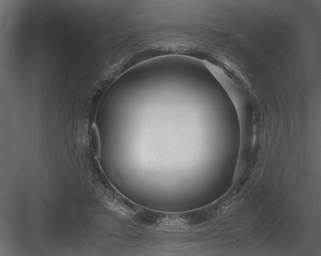 X0000084000403200702232143