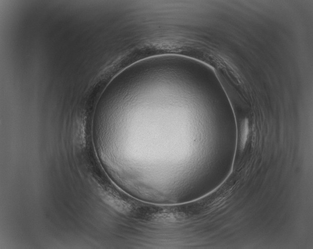 X0000084000404200702232143