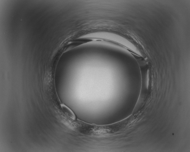 X0000084000407200702232143