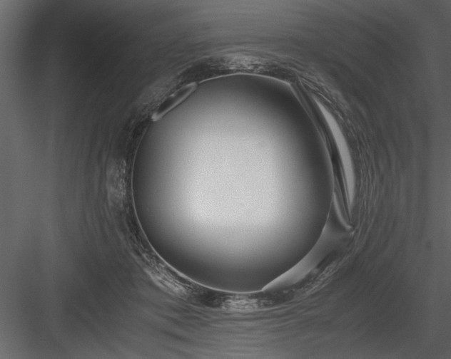 X0000084000413200702232143