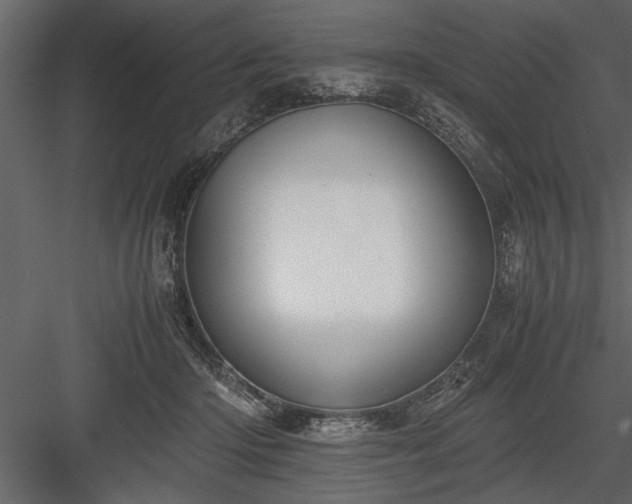 X0000084000414200702232143