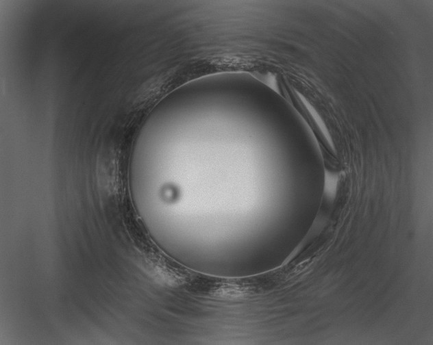 X0000084000416200702232143